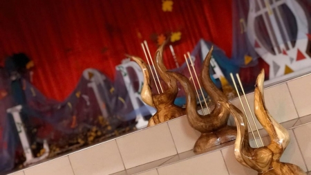 Trofee obținute de maramureșeni la Festivalului Național de Interpretare Vocală și Instrumentală „Lira” (GALERIE FOTO)