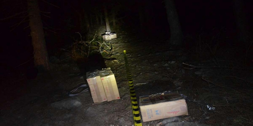 Țigări abandonate – unele de voie, altele de nevoie