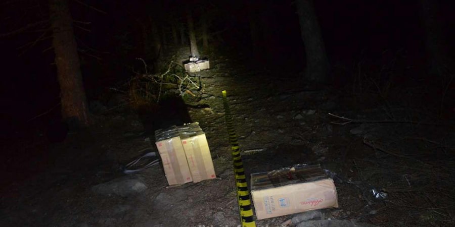Țigări abandonate – unele de voie, altele de nevoie