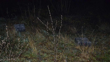 Toamna se recoltează și țigări de contrabandă