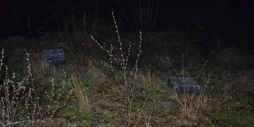 Toamna se recoltează și țigări de contrabandă