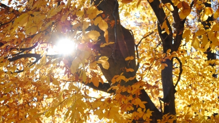 Ce vreme ne paște în următoarea perioadă