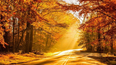 Vremea exactă în Maramureș, duminică, 31 octombrie