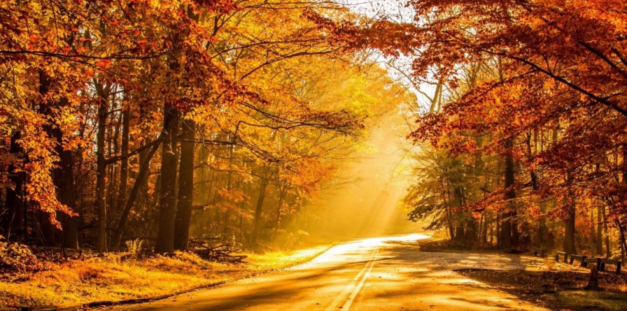 Cel mai cald octombrie înregistrat vreodată