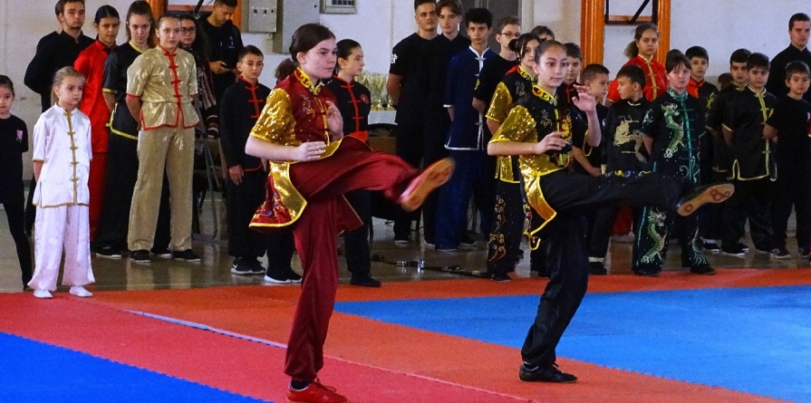 Cupa României la Wing Chun. Băimărenii au câștigat 105 medalii în prezența ambasadorului Chinei în România (GALERIE FOTO)
