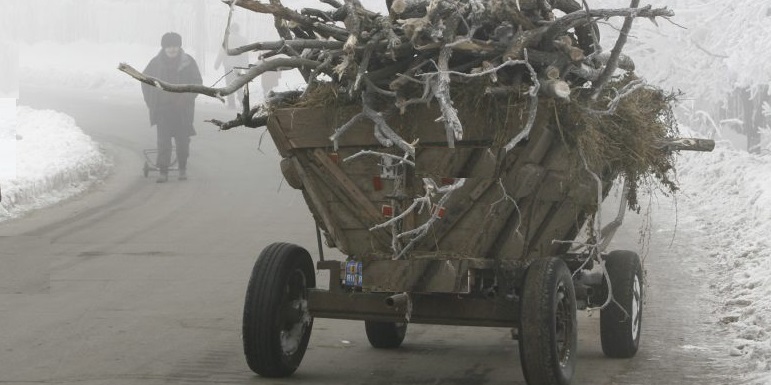 Minor strivit sub căruța cu lemne