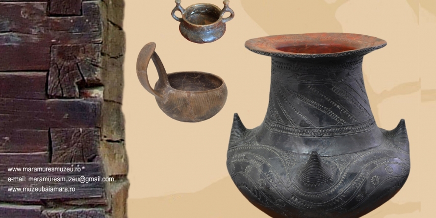 Expoziția „Necropola tumulară de la Lăpuş”