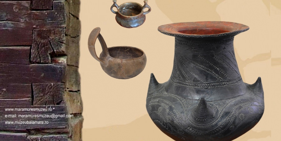 Expoziția „Necropola tumulară de la Lăpuş”
