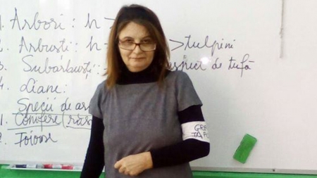 O profesoară din Baia Mare, în grevă japoneză de șase zile