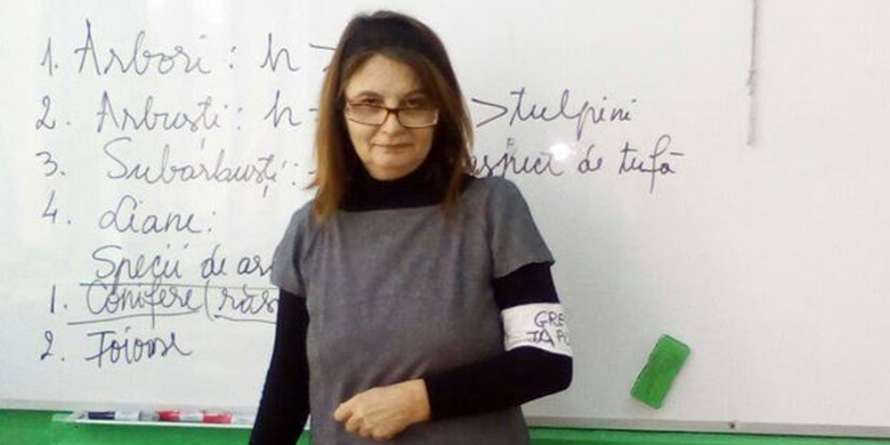 O profesoară din Baia Mare, în grevă japoneză de șase zile