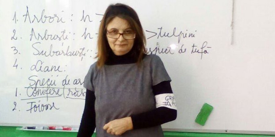 O profesoară din Baia Mare, în grevă japoneză de șase zile