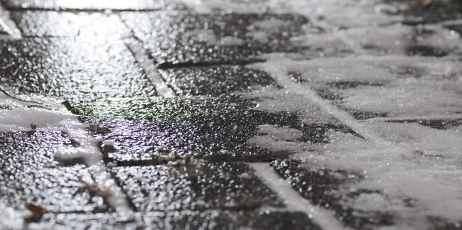 Cod galben de polei în Maramureș