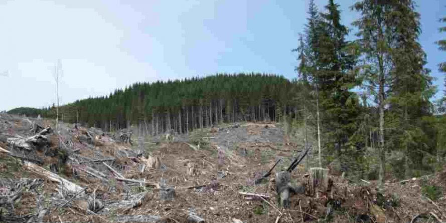 La început de an,  a fost suspendată executarea silită a Primăriei Borșa