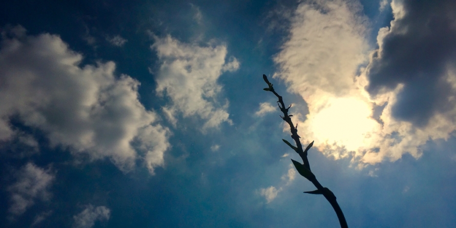 2 ianuarie 2020, o zi mai nebuloasă