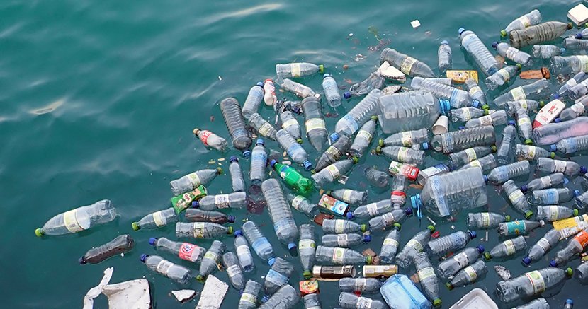 Proiecția ”Poveștii oficiale a piraților de plastic”