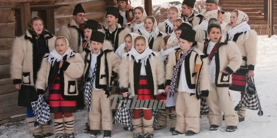 Plugușorul diasporei