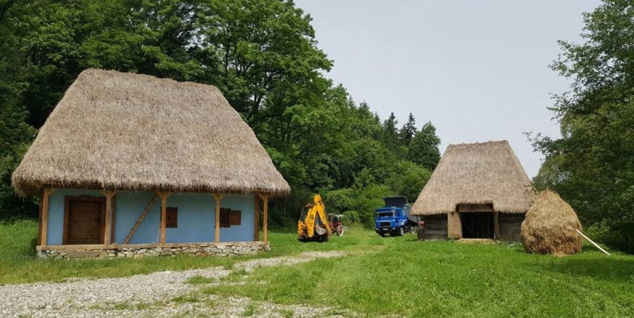 Teama de coronavirus: în Stoiceni, localnicii au imobilizat o consăteancă revenită din Italia
