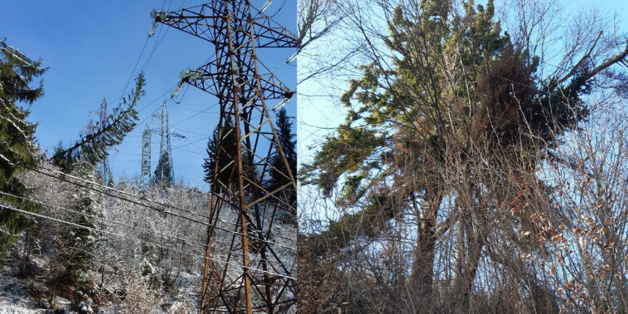 În sfârșit, nu mai sunt localități fără curent electric