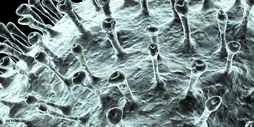 Primarul din Șișești a cerut carantină pentru toată familia românului întors din China, însă autoritățile spun că e suficientă autoizolarea lui la domiciliu