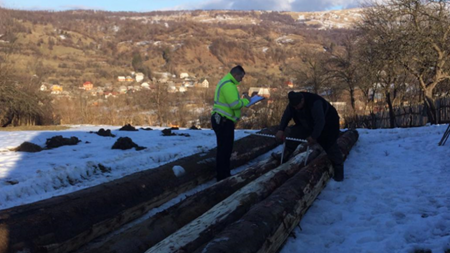 Controale cu spor la amenzi de circulație și cu eficiență mai mică la ”circulația” lemnelor