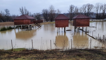 Cu ochii pe cursurile de apă