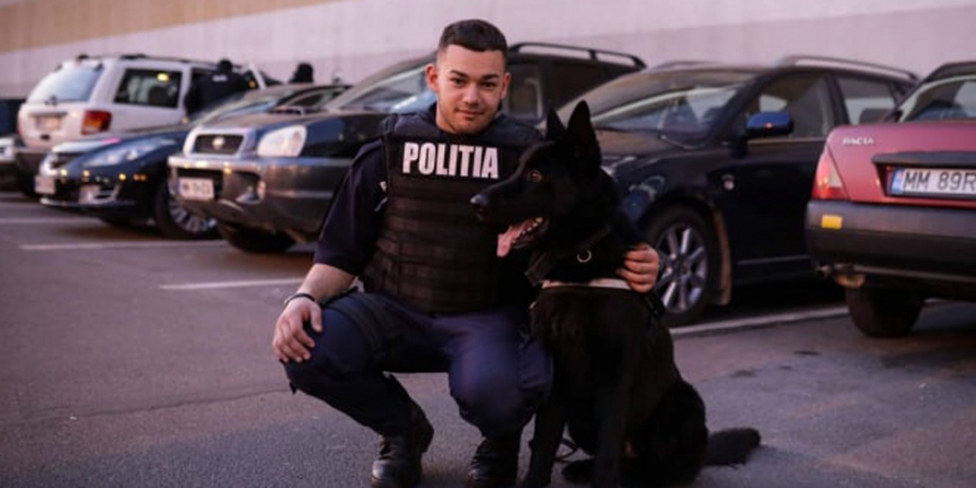 Câinele polițist Wat „a mirosit” țigările de contrabandă aflate într-o mașină parcată în Baia Mare