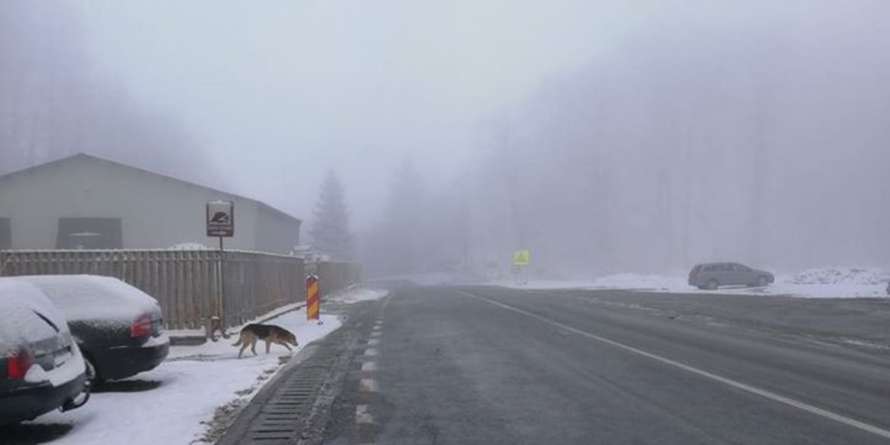 Vremea și drumurile în 5 martie