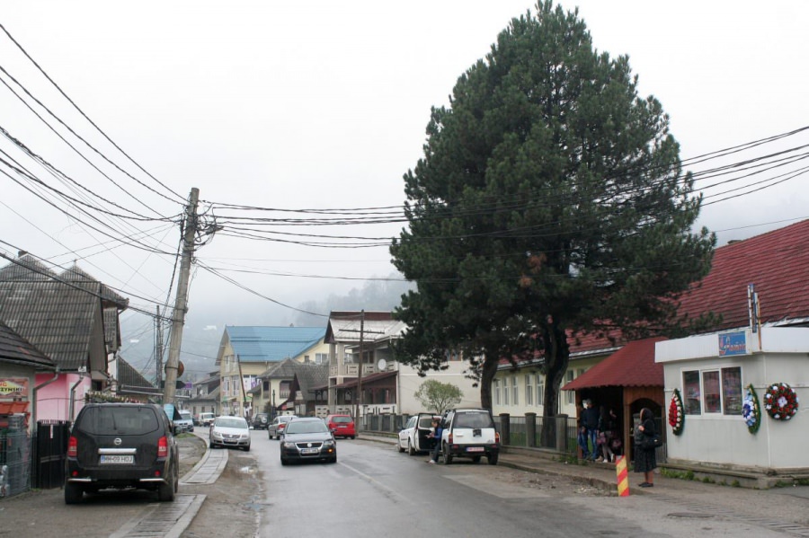 Anchetă: 30 amenzi în cazul înmormântării de la Moisei