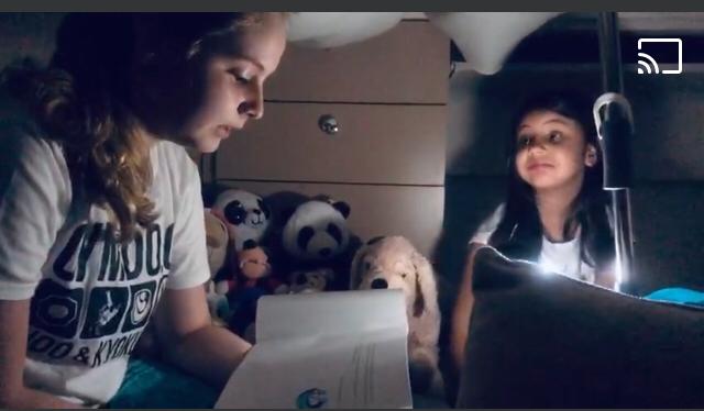 Așa-s vremurile!: Ora pământului, sărbătorită prin activități… acasă (GALERIE FOTO)