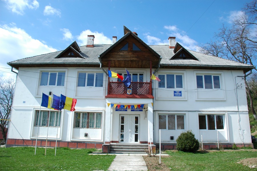 Big Brother: autoritățile din Groși vor supraveghere video în comună