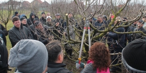 La Seini va avea loc a VIII-a ediție a Seminarului de pomicultură