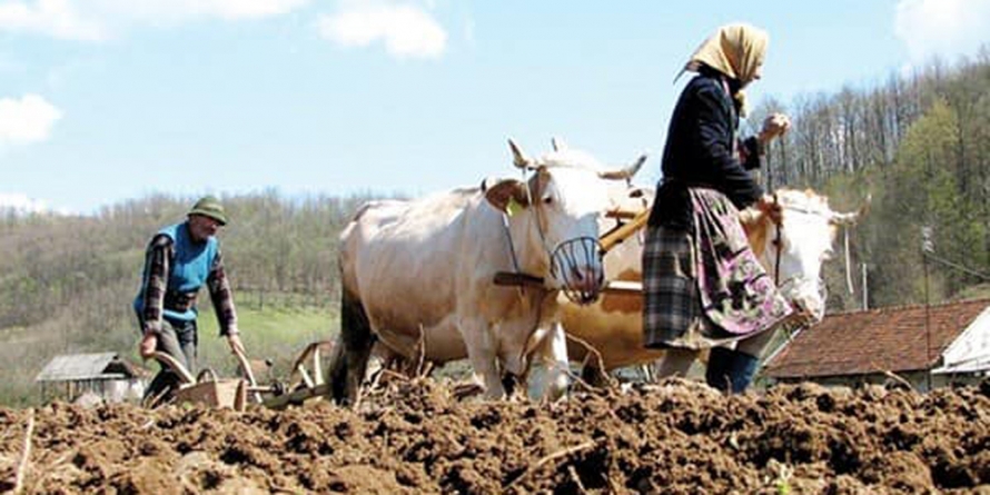 PS Iustin: „Să ne reîntoarcem la gândirea înțeleaptă a țăranilor noștri care își produceau pentru lunile de iarnă hrana necesară de origine vegetală și animală”