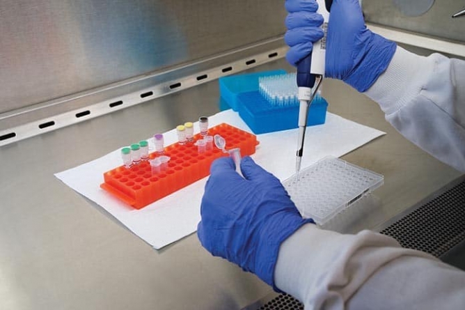 Aparatul Real Time PCR, achiziționat pentru Spitalul de Boli Infecțioase Baia Mare, va începe probele de testare
