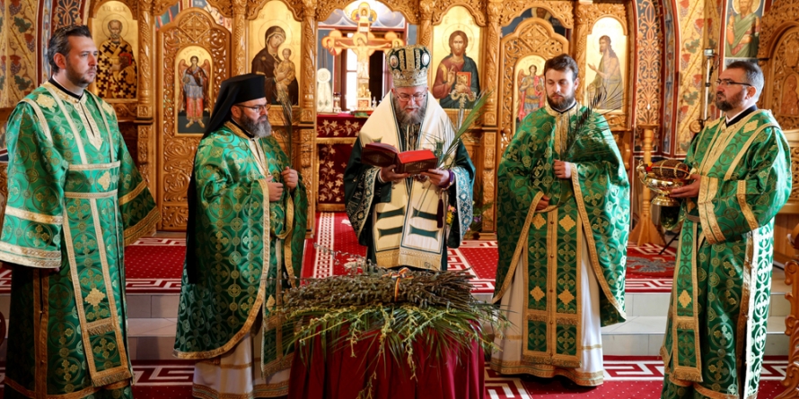 PS Iustin: „Să-i dăm ramurile recunoștinței și să așternem hainele rugăciunii și ale credinței înaintea Mântuitorului, care intră astăzi în fiecare biserică, chiar dacă-i goală, în fiecare Altar, dar și în fiecare casă” (GALERIE FOTO)