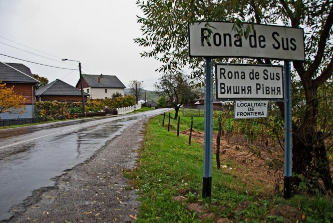 Tragedie: Un bărbat din Rona de Sus și-a pierdut viața strivit de copacul pe care îl tăia