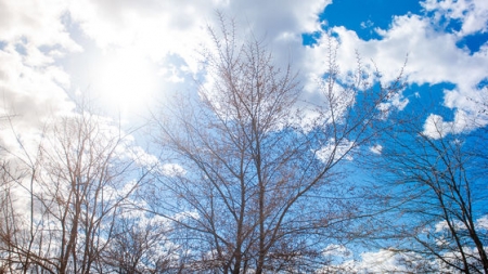 Vremea exactă în Maramureș, miercuri, 10 martie