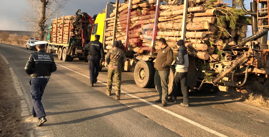 Important: Paznicii pădurilor vor fi însoțiți de personalul MAI în controalele pe linie silvică