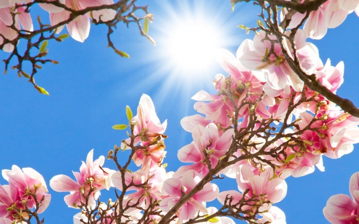 Meteo Maramureș: Vreme bună și însorită, așteptată în județ în următoarele zile; Estimările pe două săptămâni