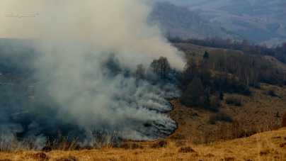 Rezultatul inconștienței: Prăpăd în zona Sat Șugatag din cauza incendiilor de vegetație; Una din rezervațiile naturale de afin, afectată de flăcări (VIDEO ȘI FOTO)
