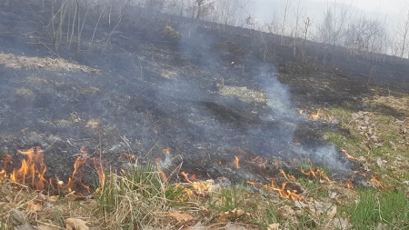 11 situații de urgență în weekend; Șase dintre acestea au fost incendii de vegetație uscată
