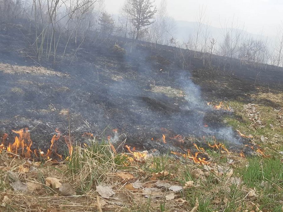 11 situații de urgență în weekend; Șase dintre acestea au fost incendii de vegetație uscată