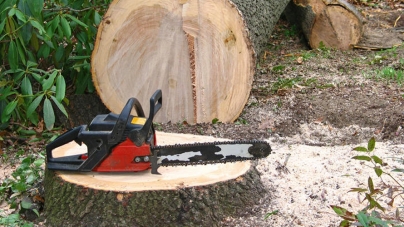 Borșa: Material lemnos descoperit pe un drum forestier