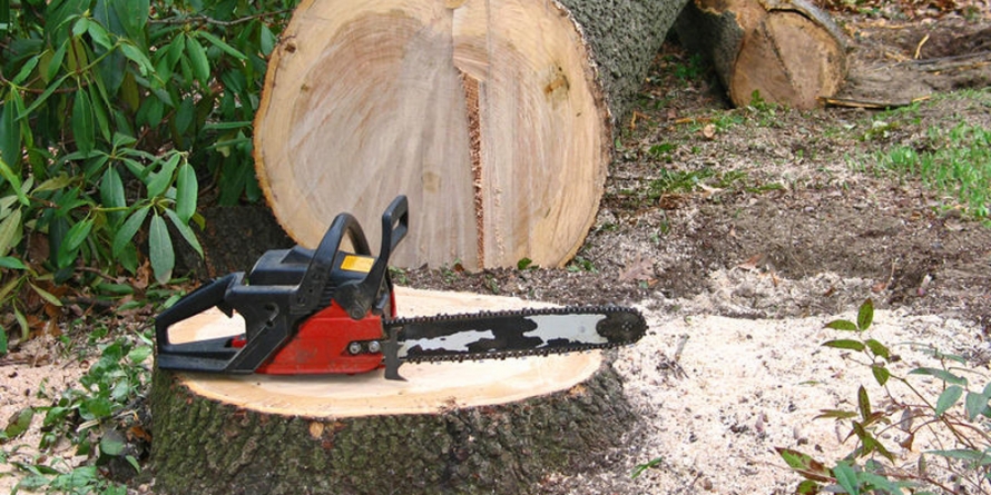 Material lemnos confiscat în Vişeu de Sus