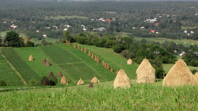 Atenție, maramureșeni!: A fost emisă Ordonanța Militară nr. 8! Va fi și nr. 9, anunță MAI!; Vă prezentăm documentul cu toate prevederile impuse de autoritățile centrale