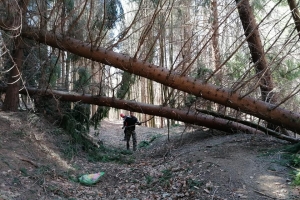 salvamont 7 apr 20 1