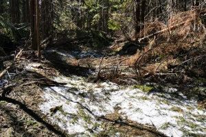 salvamont 7 apr 20 4