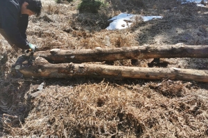 salvamont 9 apr 20 2