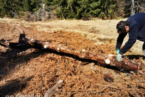 salvamont 9 apr 20 4