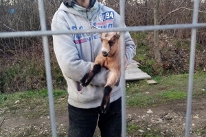 tanar disparut mm 27 apr 20 2