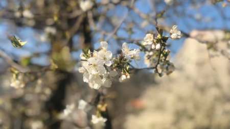 Vremea exactă în Maramureș, marți, 13 aprilie